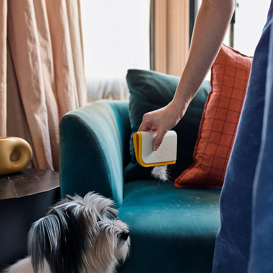 Der ultimative Leitfaden für die Reinigung mit Haustieren